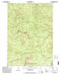 Coffin Mountain 1994 topographic map thumbnail