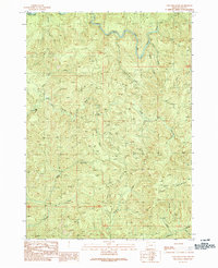 Coos Mountain 1990 topographic map thumbnail