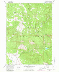 Cougar Peak 1964 topographic map thumbnail