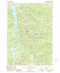 Cougar Reservoir 1989 topographic map thumbnail