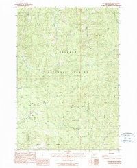 Cougar Rock 1990 topographic map thumbnail