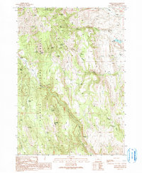 Craft Point 1990 topographic map thumbnail