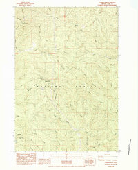 Cummins Peak 1984 topographic map thumbnail