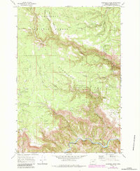 Deerhorn Creek 1969 topographic map thumbnail