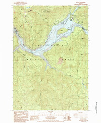 Detroit 1985 topographic map thumbnail