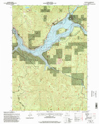 Detroit 1994 topographic map thumbnail