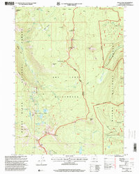 Devils Peak 1998 topographic map thumbnail
