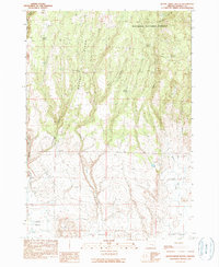 Devine Ridge South 1990 topographic map thumbnail