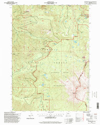 Diamond Peak 1997 topographic map thumbnail