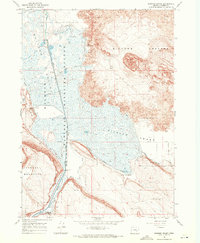 Diamond Swamp 1967 topographic map thumbnail