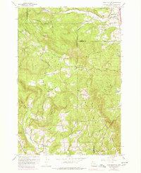 Dixie Mountain 1961 topographic map thumbnail