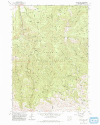 Dooley Mtn topographic map thumbnail