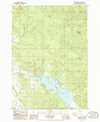 Dorena Lake 1986 topographic map preview