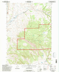 Dry Mountain 1992 topographic map thumbnail