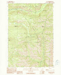Duck Creek 1990 topographic map thumbnail