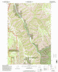 Duncan 1995 topographic map thumbnail