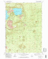 East Lake 1982 topographic map thumbnail
