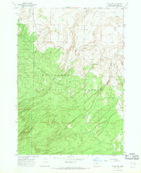 Evans Well 1967 topographic map thumbnail