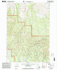 Fall Mountain 1998 topographic map thumbnail