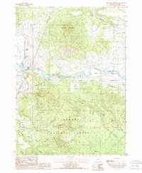 Ferguson Mountain 1988 topographic map thumbnail