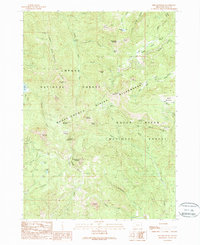 Fish Mountain 1989 topographic map thumbnail