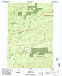 Fivemile Butte 1996 topographic map thumbnail