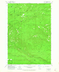 Flag Point 1962 topographic map thumbnail