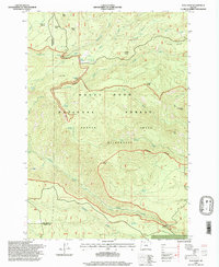 Flag Point 1996 topographic map thumbnail