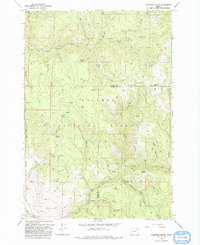 Flagstaff Butte 1993 topographic map thumbnail