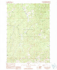 Flagtail Mountain 1990 topographic map thumbnail