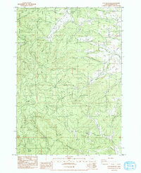 Flat Mountain 1984 topographic map thumbnail