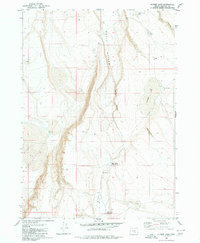 Flybee Lake 1980 topographic map thumbnail