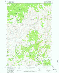 Funny Butte 1981 topographic map preview