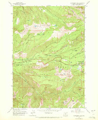 Government Camp 1962 topographic map thumbnail