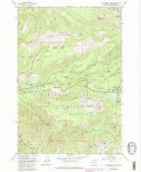 Government Camp 1962 topographic map thumbnail