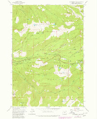 Government Camp 1980 topographic map thumbnail