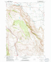 Craig Mountain 1994 topographic map thumbnail