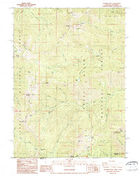 Grayback Mountain 1987 topographic map thumbnail