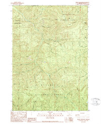 Harvey Mountain 1989 topographic map thumbnail