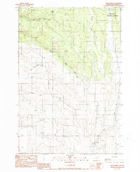 Hicks Spring 1990 topographic map thumbnail