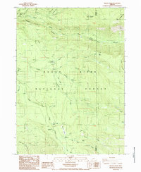 Imnaha Creek 1985 topographic map thumbnail