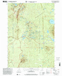 Irish Mountain 1997 topographic map thumbnail