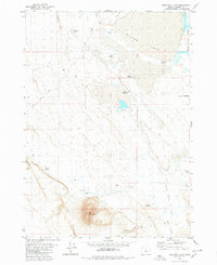 Iron Mtn. Flat topographic map thumbnail