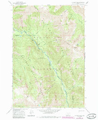 Jim White Ridge 1966 topographic map preview