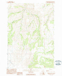 Johnson Heights 1990 topographic map thumbnail