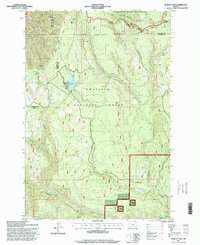 Jubilee Lake 1995 topographic map thumbnail