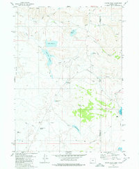 Juniper Point 1980 topographic map thumbnail