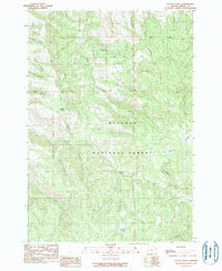 Keeney Point 1990 topographic map thumbnail