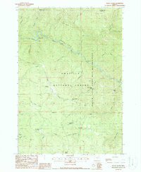 Kelsay Butte 1988 topographic map thumbnail