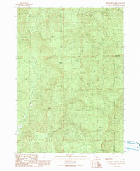Kenyon Mountain 1990 topographic map thumbnail
